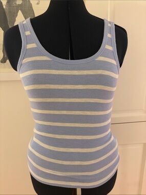 aerie Ribbed Striped Tank - Light Blue & White